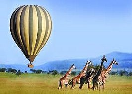 Giraffe and hot air baloon